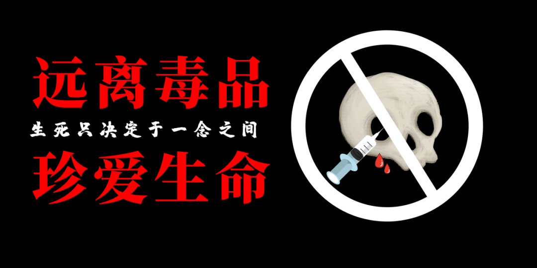 IMG_6991 IMG_6991.png?v=1764469155184