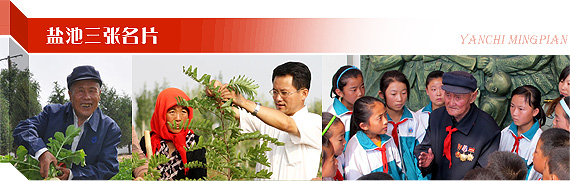 图片2.png?v=1763520834461