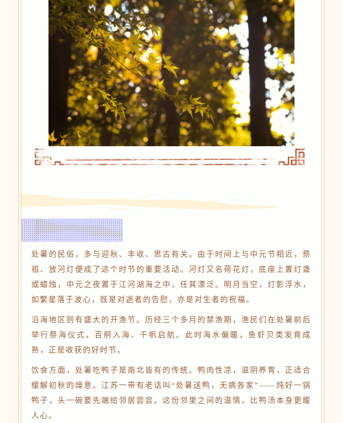 image.png?v=1787517468287
