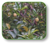 pagenumber_ebook=298,pagenumber_book=285