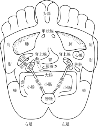 pagenumber_ebook=73,pagenumber_book=64