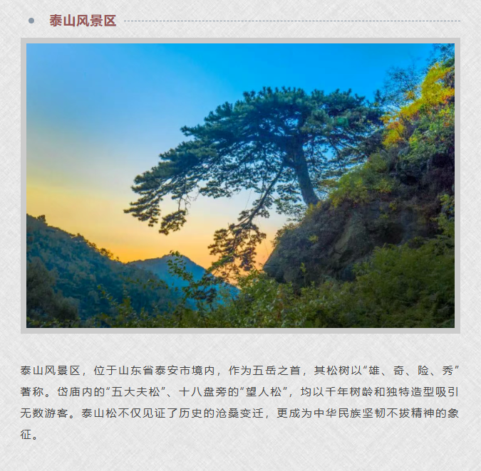 image.png?v=1762099906174