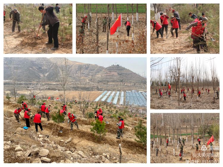 造林绿化 造林绿化.jpg