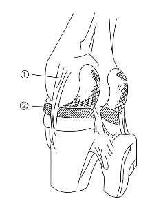 pagenumber_ebook=204,pagenumber_book=204