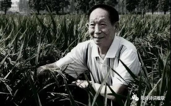 微信图片_20210526095549 微信图片_20210526095549.jpg