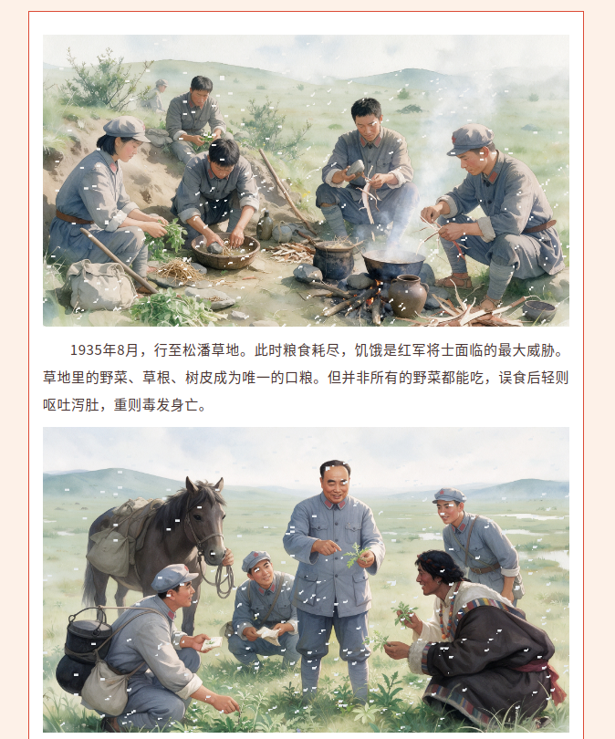 image.png?v=1792101750211
