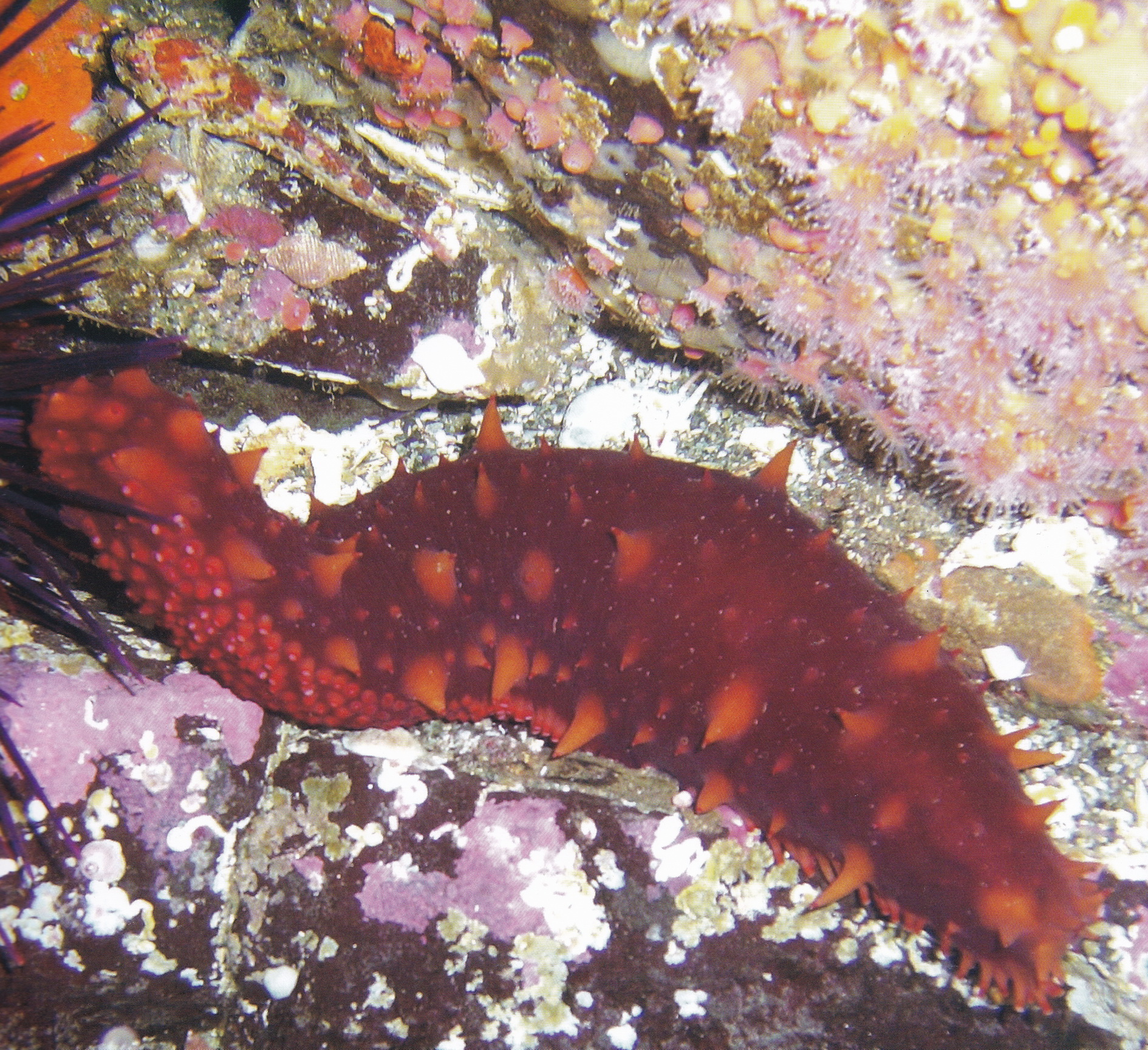 03.jpg