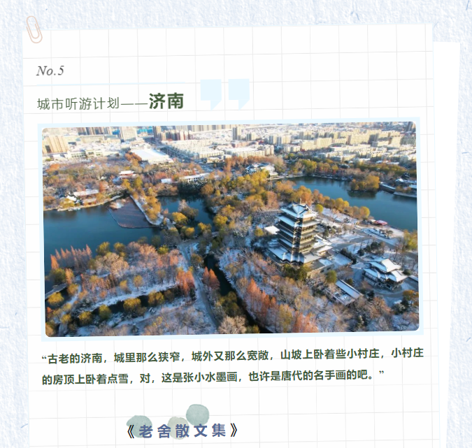 image.png?v=1751679070871