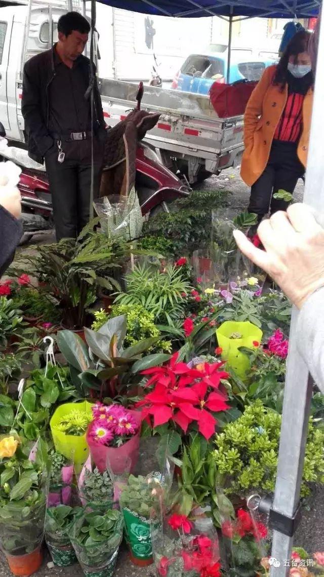 3801213fb80e7bec5120a46c6ec91e3c99506bb4 3801213fb80e7bec5120a46c6ec91e3c99506bb4