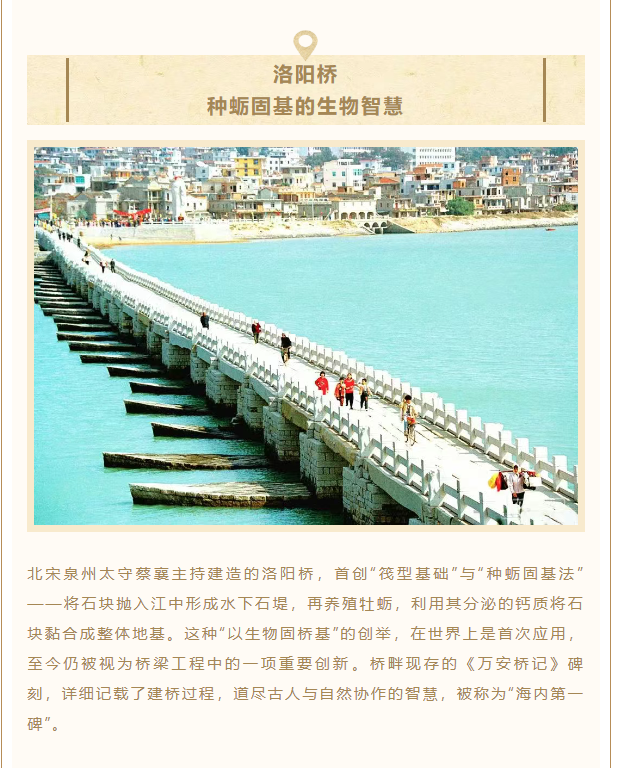 image.png?v=1751710192072