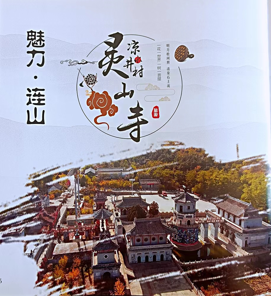 image image.png?v=1770179631011