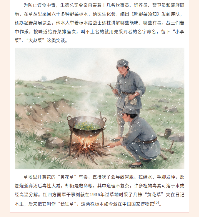 image.png?v=1792101750211