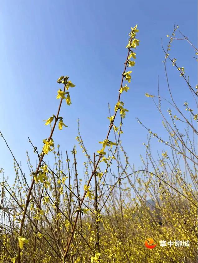 微信图片_20210308084909 微信图片_20210308084909.jpg