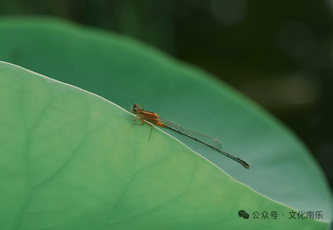 微信图片_2025-08-19_161324_725.jpg