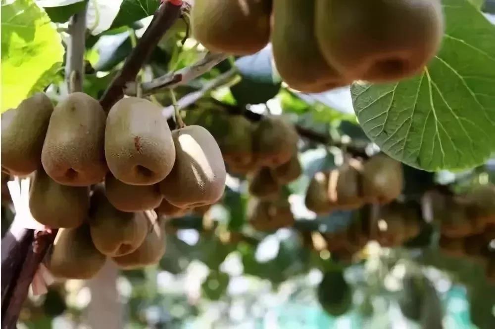 微信图片_20200712020516 微信图片_20200712020516.jpg