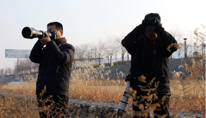 b21418e49ce6090167153b36f02cb1f b21418e49ce6090167153b36f02cb1f.png