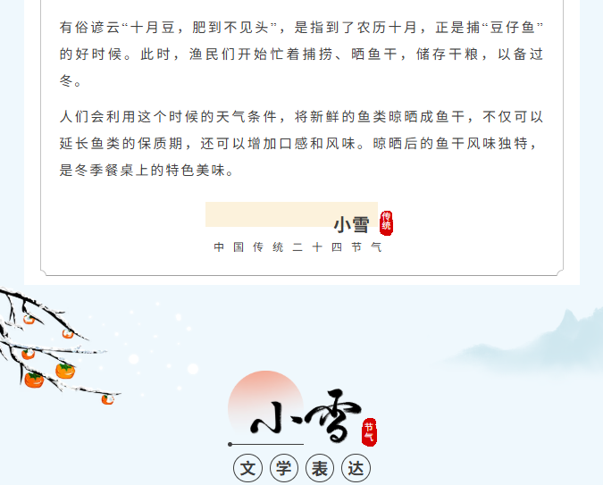 image.png?v=1766278508483