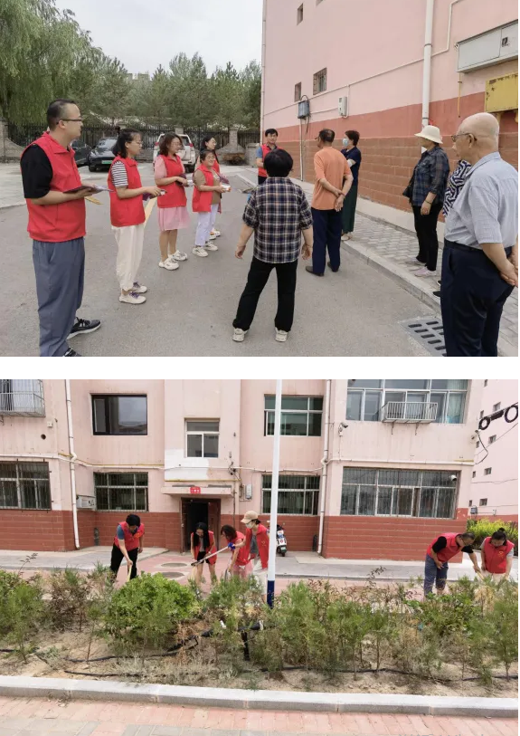 image image.png?v=1763569342738