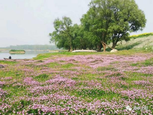 6 6.jpg?v=1765925648368