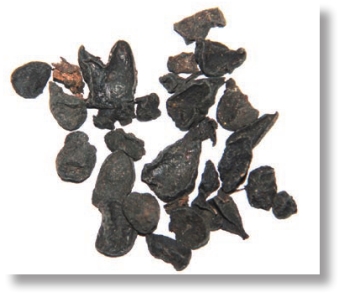 pagenumber_ebook=94,pagenumber_book=81