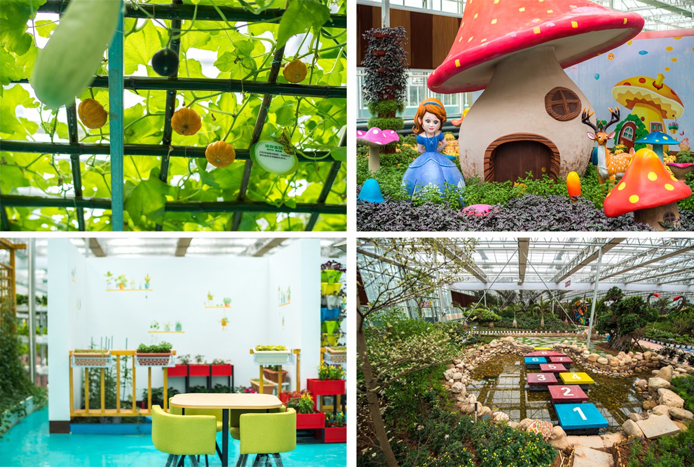 嘉年华4 嘉年华4.jpg