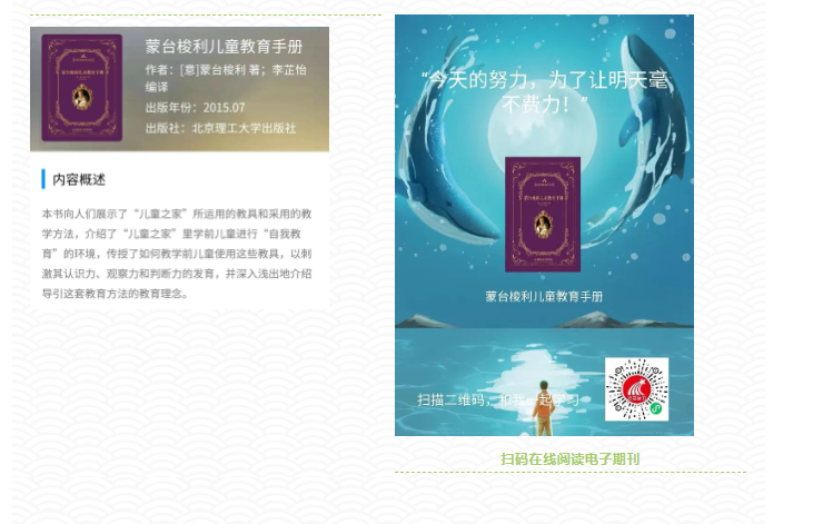 image image.png?v=1763569612285