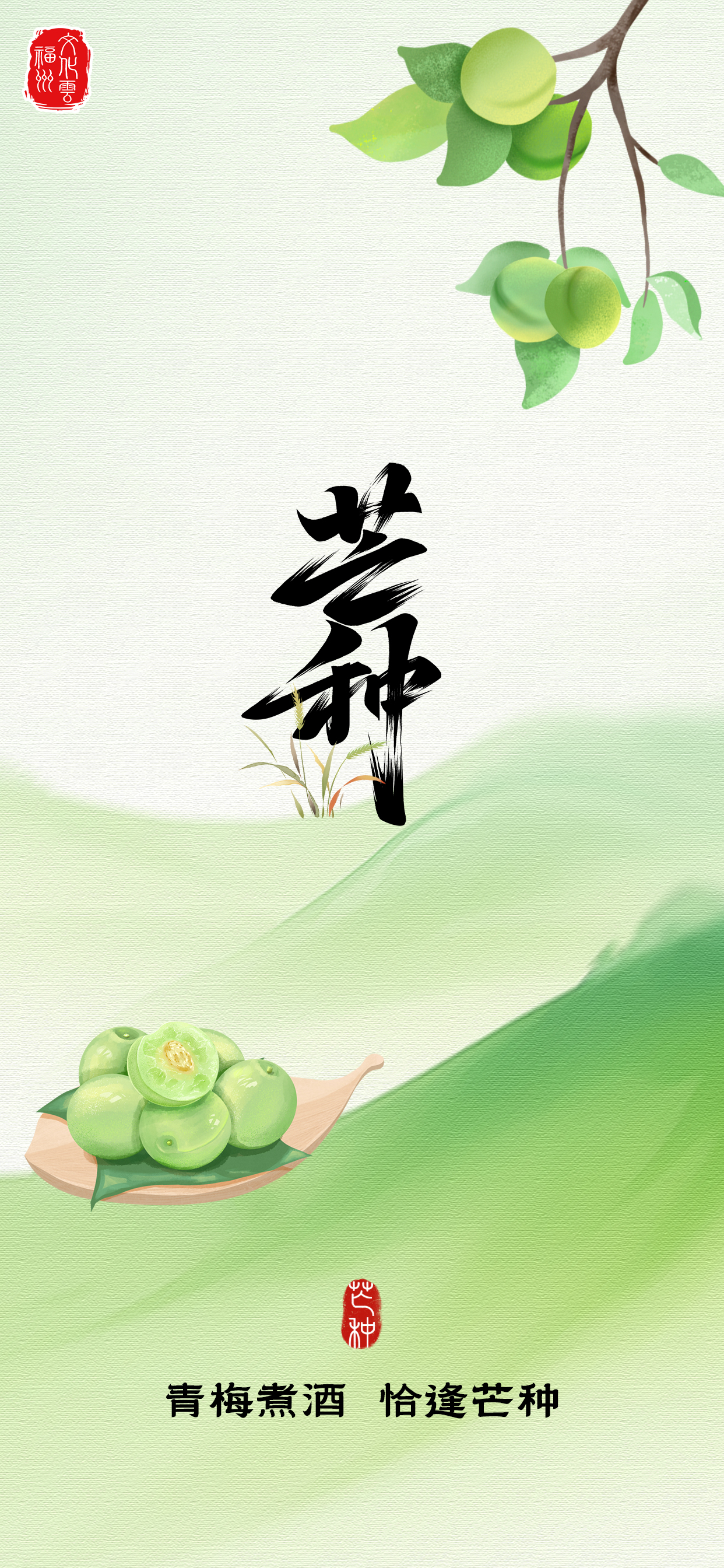 20250605【芒种】青梅煮酒 恰逢芒种2.jpg