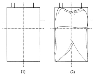 pagenumber_ebook=184,pagenumber_book=175