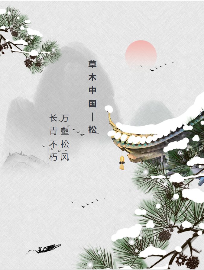 image.png?v=1762099906174