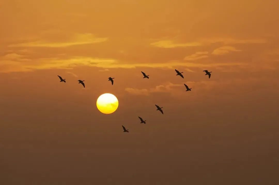 b869b792a89a77ae2dc3e63ca9ef02f4 b869b792a89a77ae2dc3e63ca9ef02f4.jpg