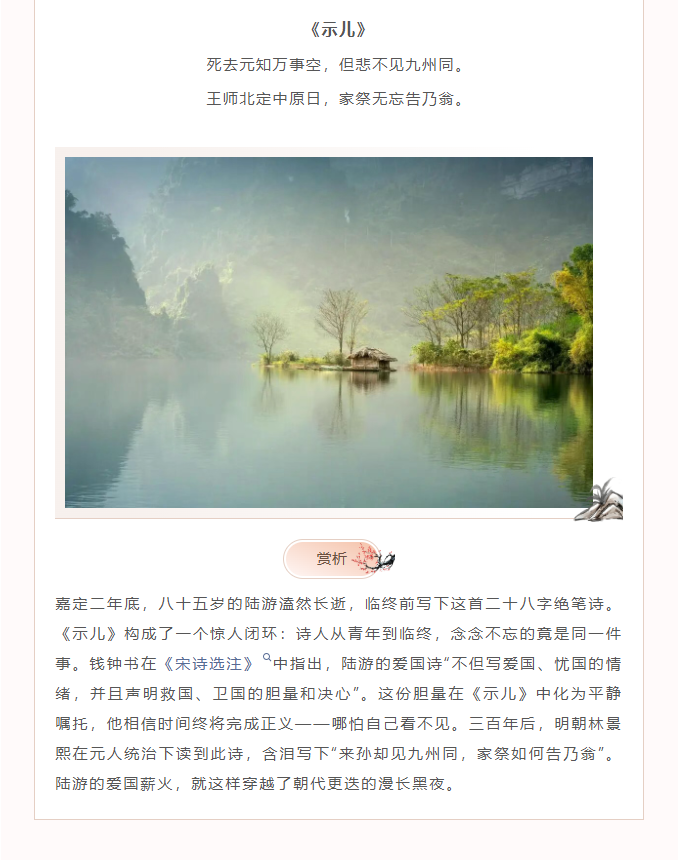 image.png?v=1770178027590