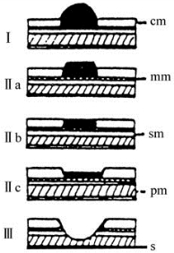 pagenumber_ebook=89,pagenumber_book=74