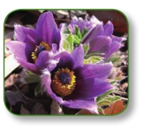 pagenumber_ebook=67,pagenumber_book=54