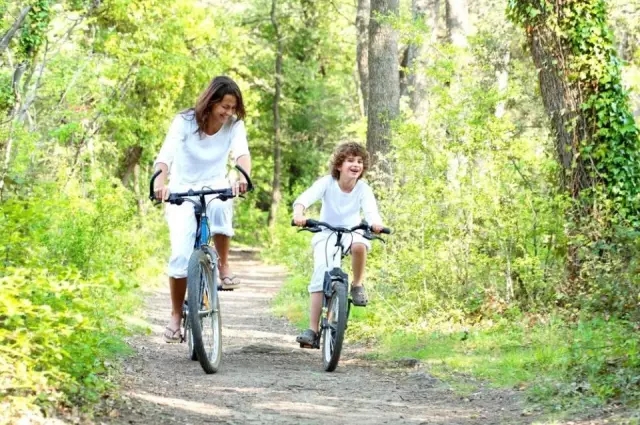 640.webp (3) 640.webp (3).jpg?v=1762590352255