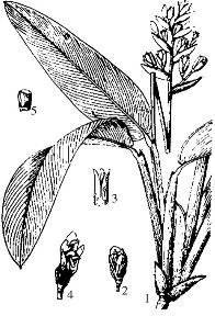 pagenumber_ebook=279,pagenumber_book=279