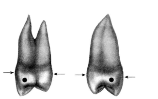pagenumber_ebook=20,pagenumber_book=11