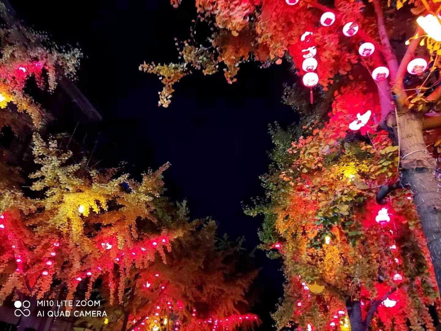 微信图片_20201214182335