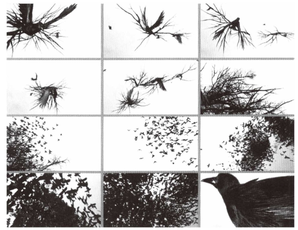 pagenumber_ebook=46,pagenumber_book=39