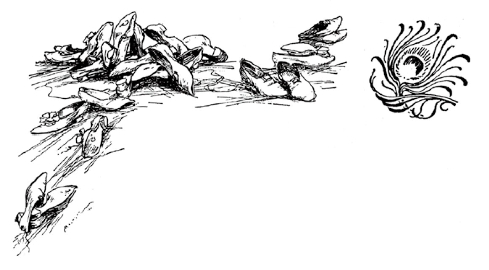 pagenumber_ebook=566,pagenumber_book=540