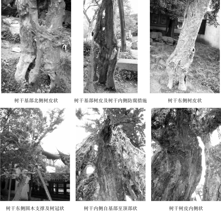 pagenumber_ebook=88,pagenumber_book=88