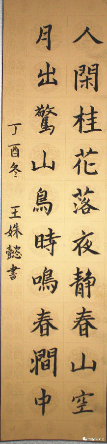 640.webp (8).jpg?v=1764880113128