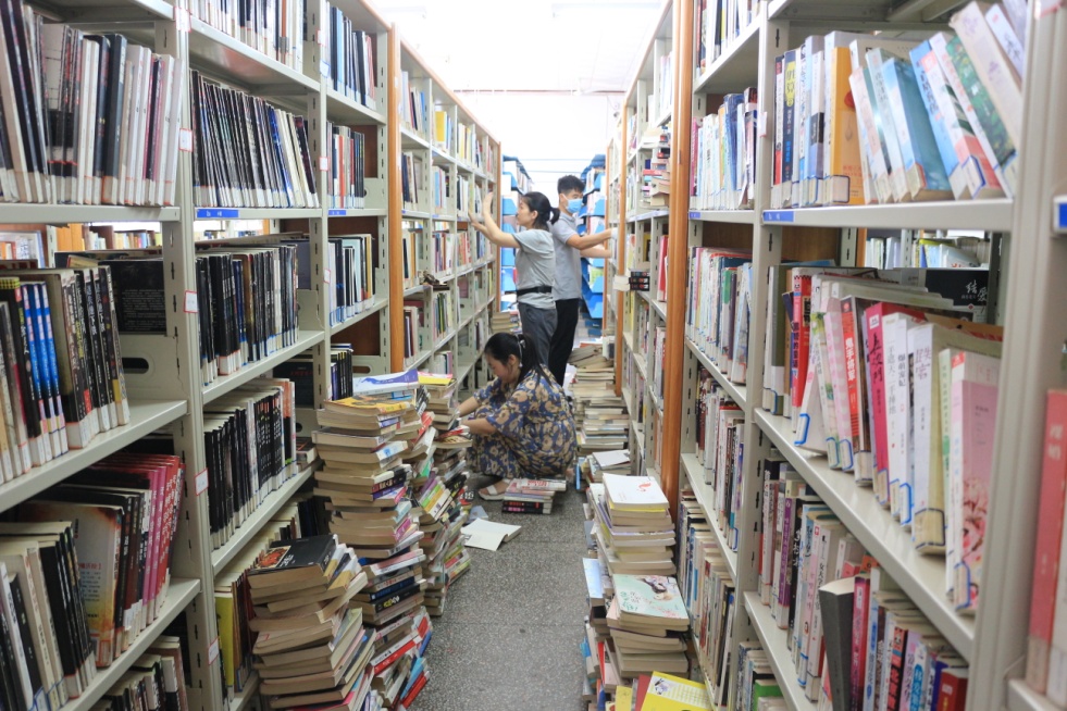 2019062640875357 2019062640875357.jpg?v=1764816252384