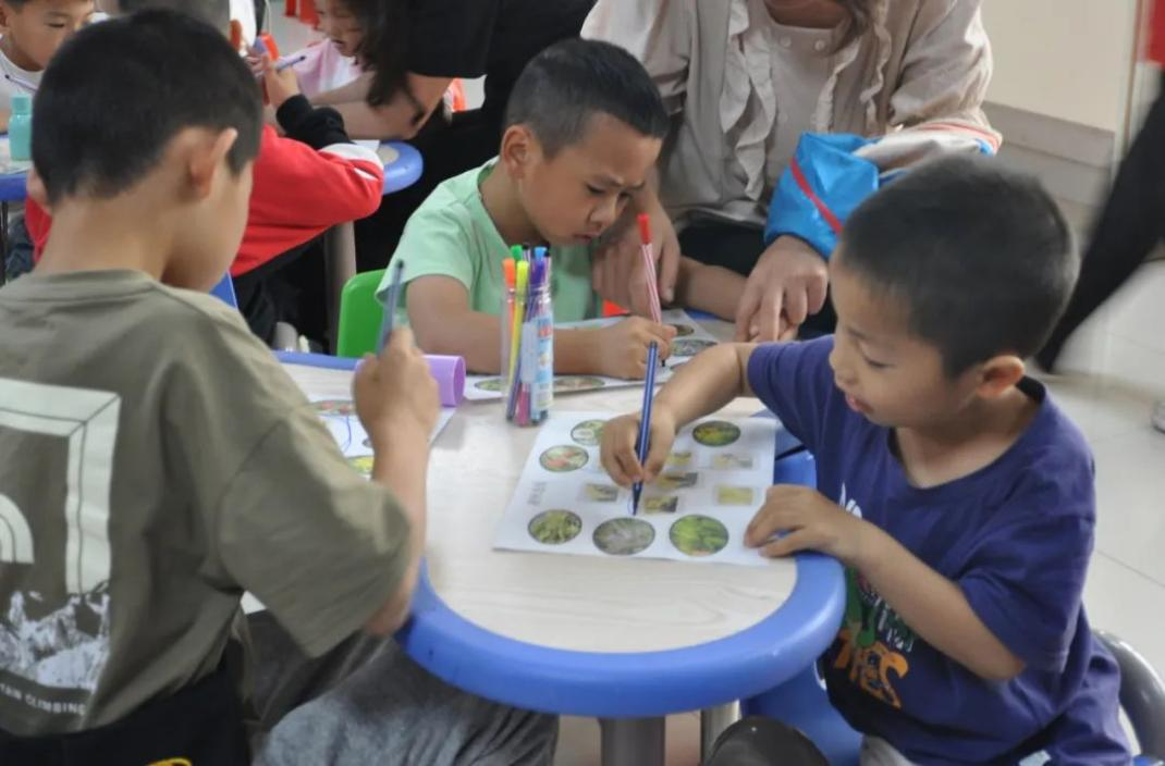 图片8 图片8.png?v=1772868855710