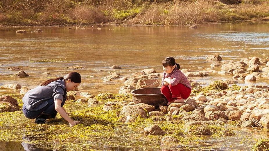 品文荐书（十五）| 母亲节：这一生的浪漫和宠溺她最该拥有