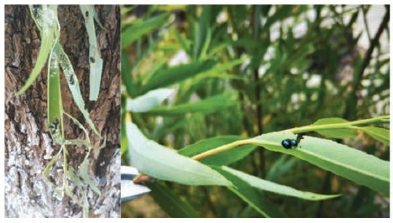 pagenumber_ebook=38,pagenumber_book=30