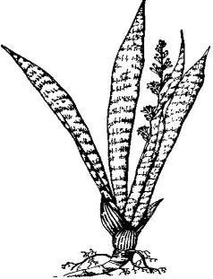 pagenumber_ebook=232,pagenumber_book=232