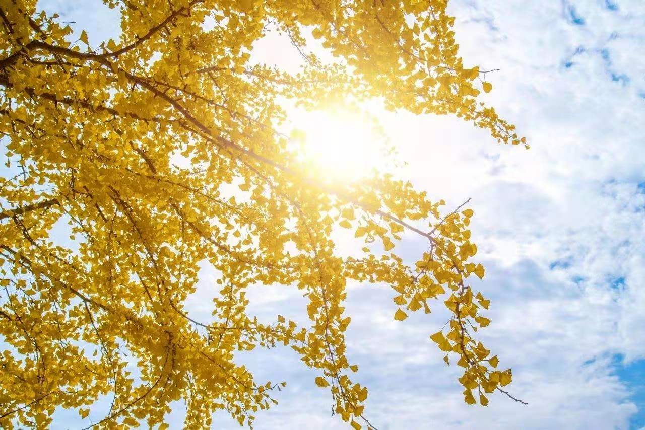 b26364eaf35d2c0e704cb95d61fb5ca b26364eaf35d2c0e704cb95d61fb5ca.jpg