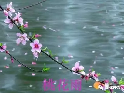 20170513163425_r0xfjsqugb.png?v=1747529554371