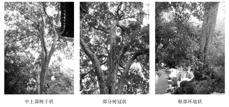 pagenumber_ebook=114,pagenumber_book=114