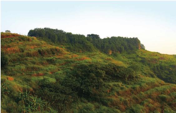 pagenumber_ebook=46,pagenumber_book=46